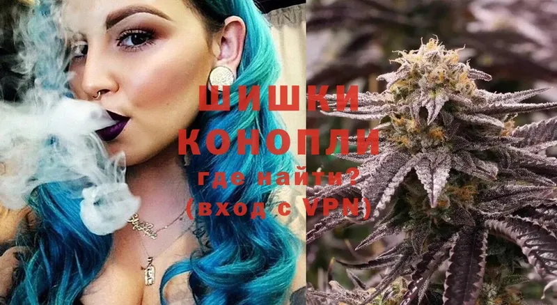 МАРИХУАНА план  shop какой сайт  Енисейск  купить наркотики сайты 